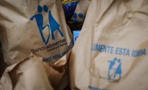Banco Alimentar de Portalegre já dá resposta a mais de 2.400 pessoas