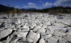 Alterações climáticas tornaram 100 vezes mais provável calor anómalo de abril