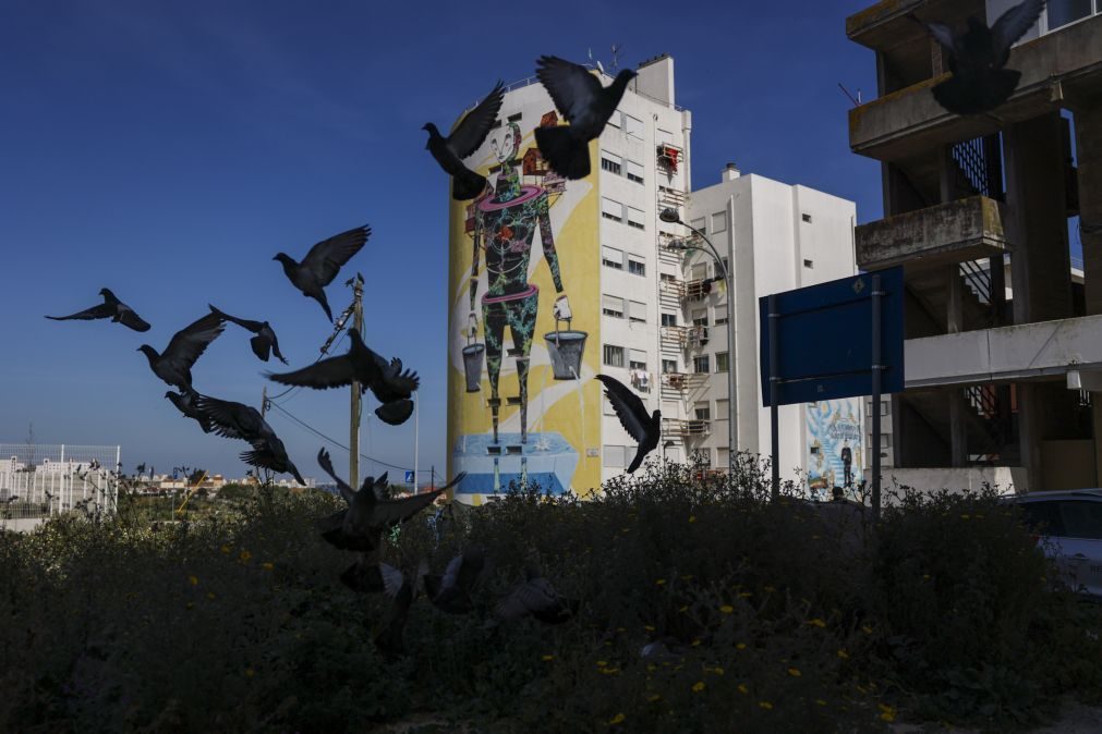 No Bairro Branco, em Lisboa, não há um banco para sentar