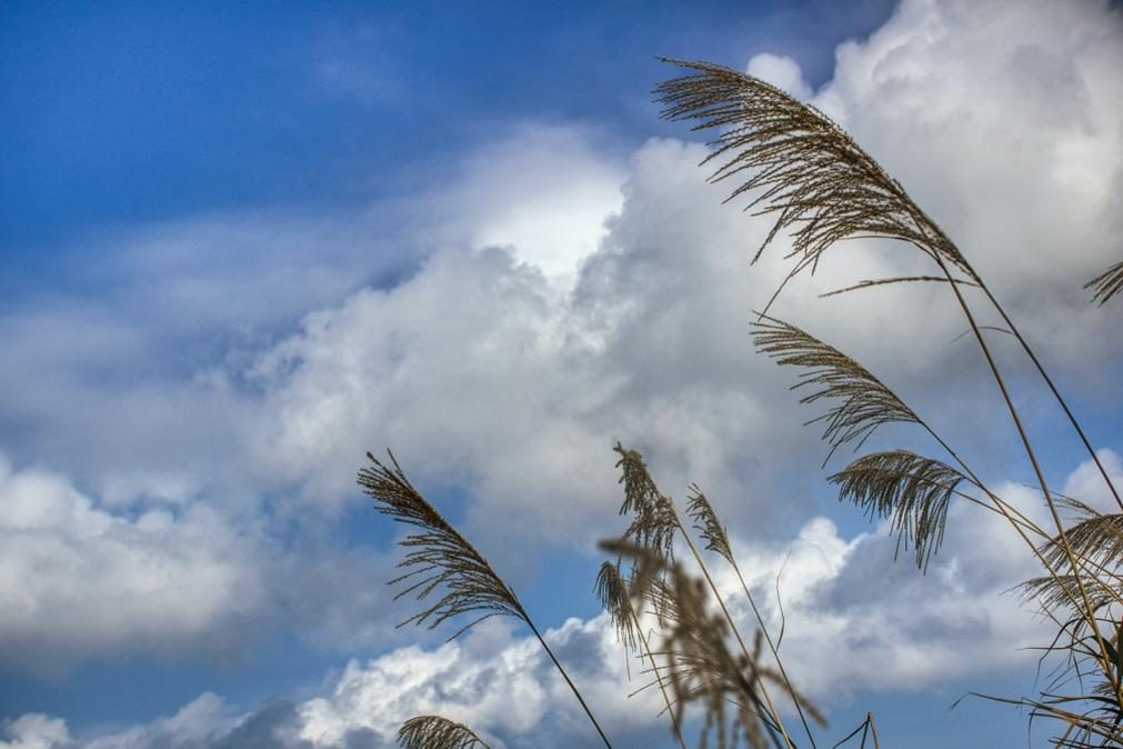 Meteorologia: Previsão do tempo para segunda-feira, 8 de maio