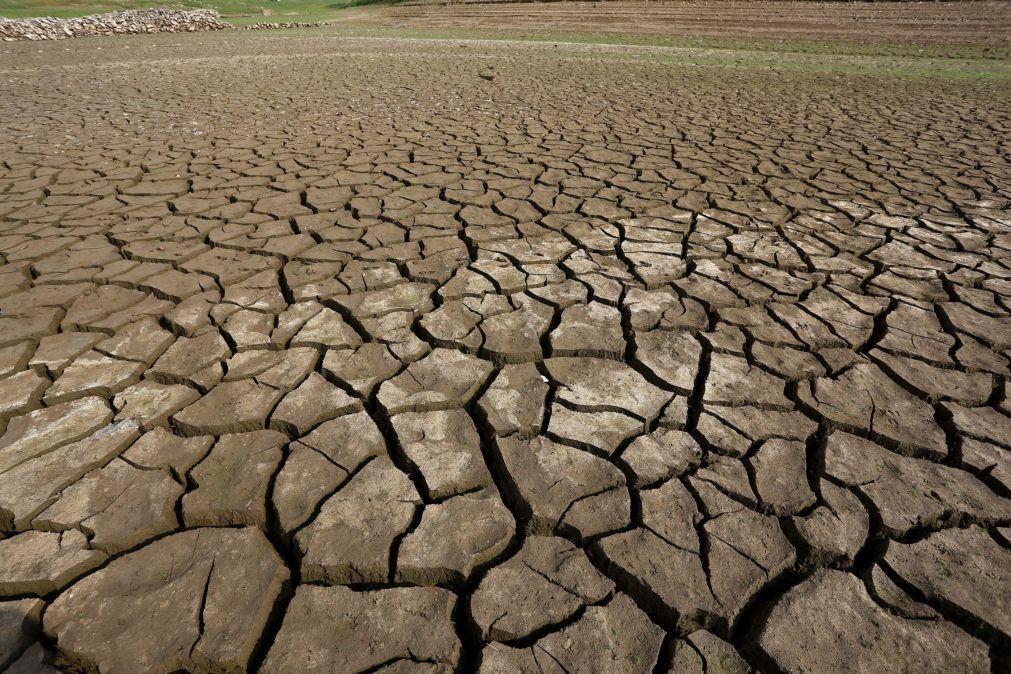 Ministério da Agricultura reconhece que a seca afeta 40% do país