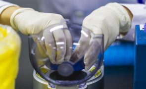 Cientistas divulgam primeiro 'pangenoma' humano