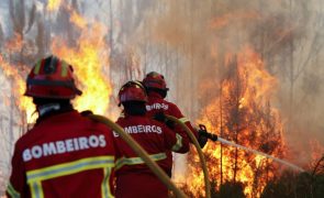 Calor e seca colocam mais 280 bombeiros no terreno até sábado para combate a incêndios