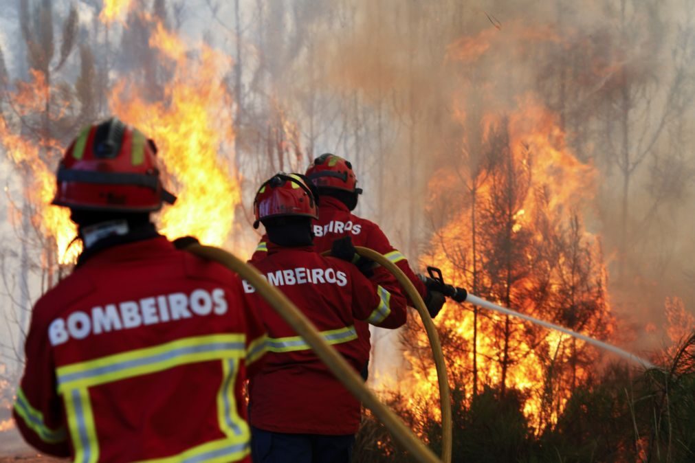 Calor e seca colocam mais 280 bombeiros no terreno até sábado para combate a incêndios