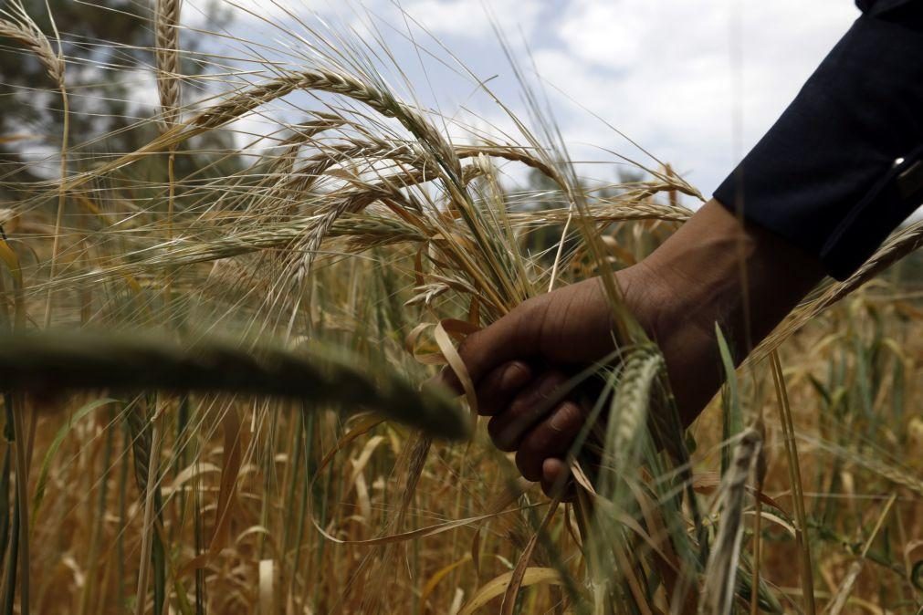 Treze países questionam acordo de suspensão de importação de cereais