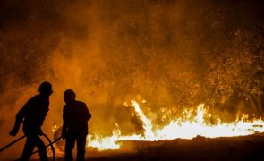 Presidente da AGIF admite que ainda há caminho a percorrer na prevenção e combate aos incêndios