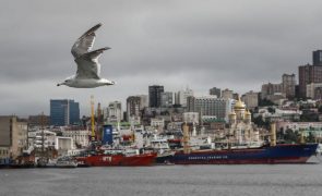 Duas províncias chinesas vão ter acesso ao porto russo de Vladivostoque