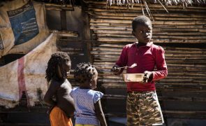 Aliança de produtores leva 10,5 toneladas de alimentos a crianças cabo-verdianas em risco
