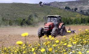 Agricultores podem recorrer a compensação global de 180 ME