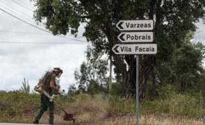 Incêndios: Região de Leiria contra 