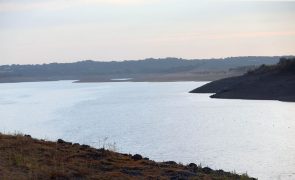 Barragem do Maranhão, Avis, contaminada pela agricultura intensiva