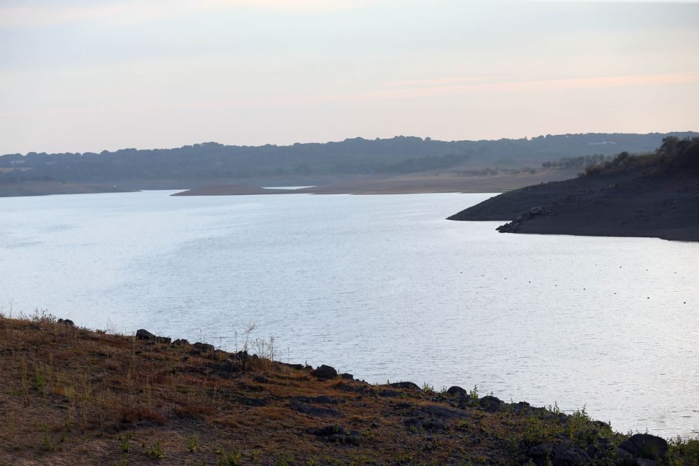 Barragem do Maranhão, Avis, contaminada pela agricultura intensiva