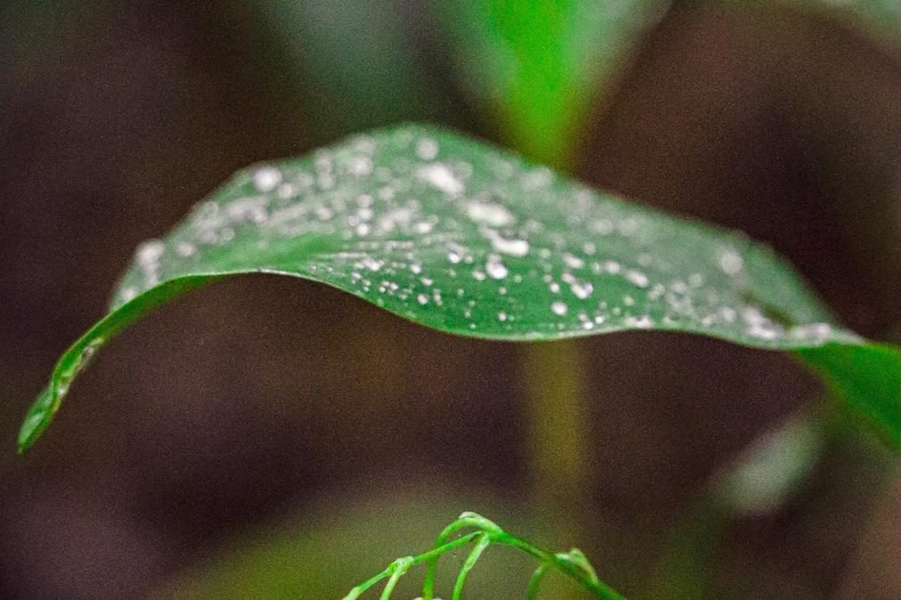 Meteorologia: Previsão do tempo para quarta-feira, 17 de maio