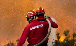 Mais de 70 concelhos de oito distritos em perigo máximo de incêndio