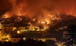 Incêndios: MAI apela aos presidentes de câmara para atualizarem planos de emergência