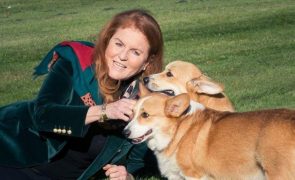 Sarah Ferguson  - Polémica a estrear? Duquesa promete “colocar pontos nos i’s”