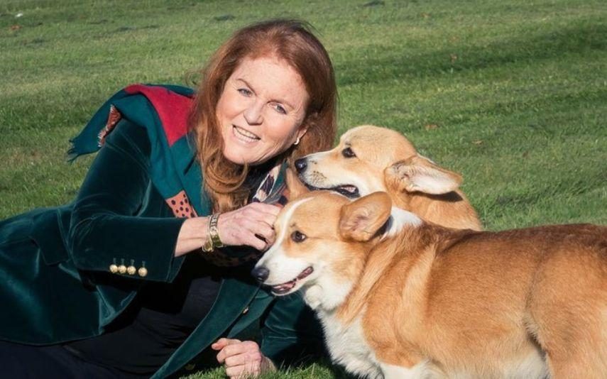 Sarah Ferguson  - Polémica a estrear? Duquesa promete “colocar pontos nos i’s”