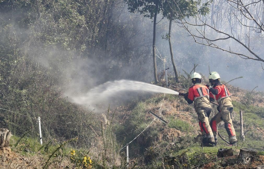 Autoridades calculam 8.500 hectares já queimados por fogo na Extremadura espanhola