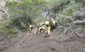 Estabilizado fogo em Espanha a ser combatido também por bombeiros portugueses