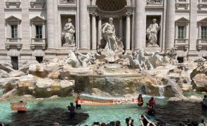 Ativistas ambientais lançam líquido negro na água da Fonte de Trevi em Roma