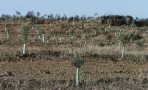 Agricultores algarvios pedem ao Governo para passar dos projetos à ação