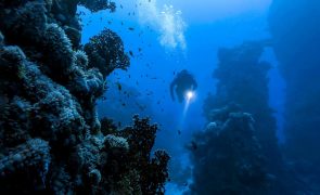 Conheça a caverna subaquática mais perigosa do mundo responsável por 13 mortes