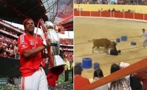Eliseu Ex-jogador do Benfica colhido por touro nas festas da Azambuja [vídeo]