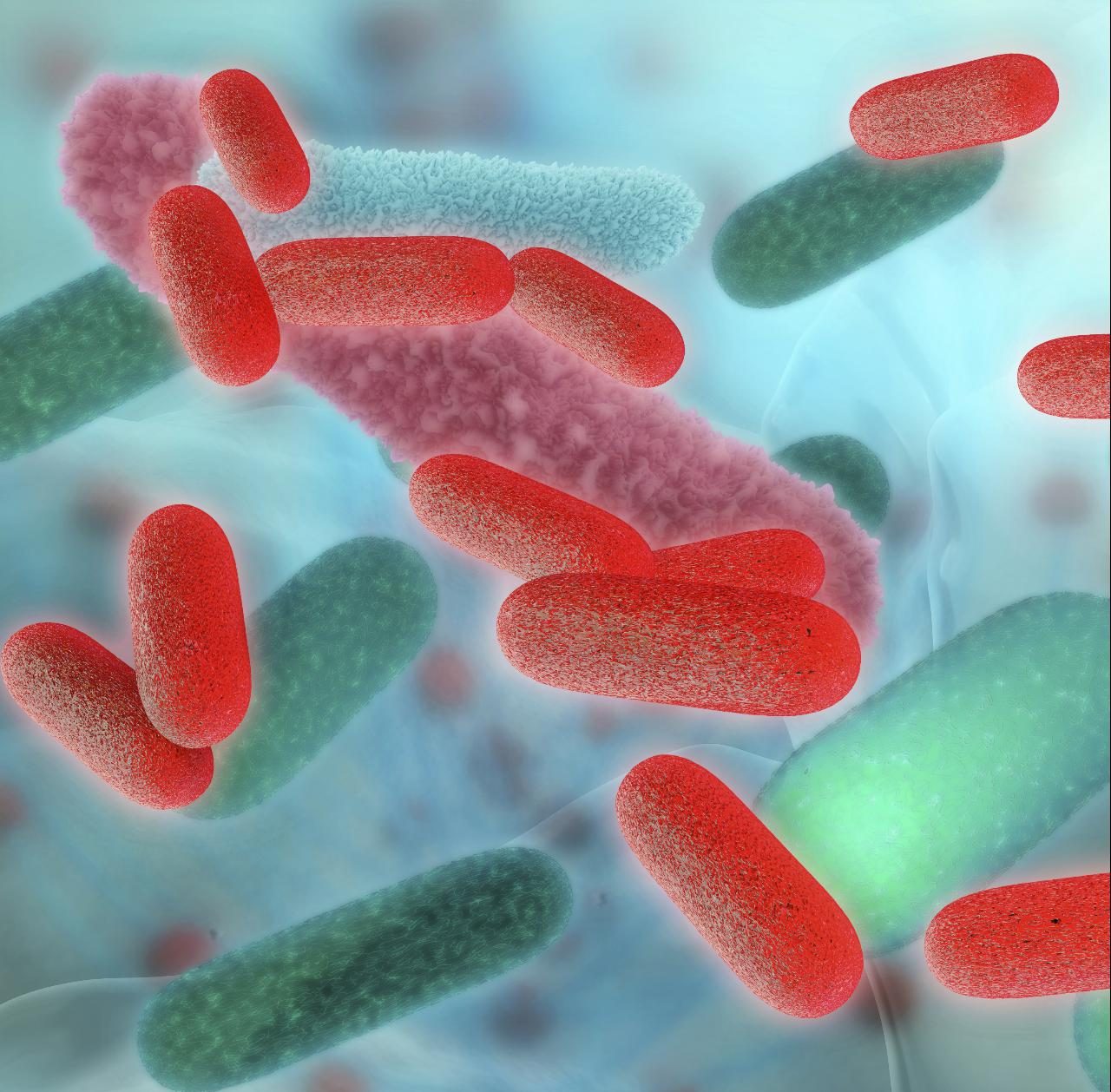 Legionella: Conheça os sintomas. 12 mortos e mais de 400 infetados em três anos.
