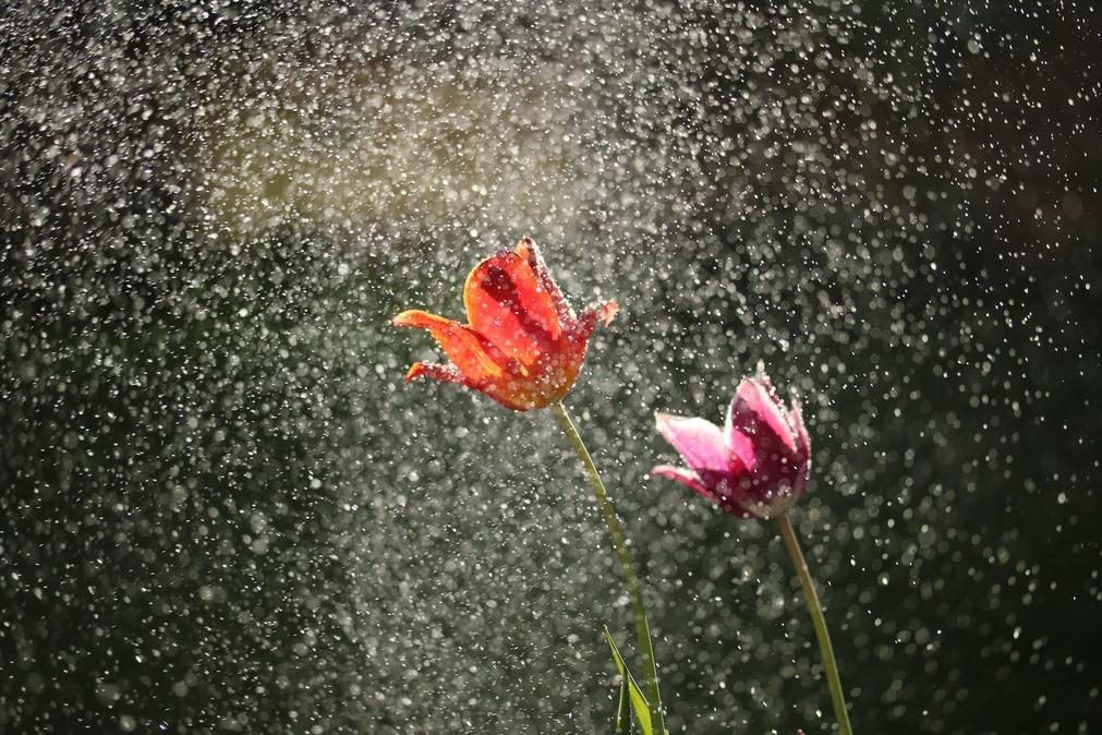 Meteorologia: Previsão do tempo para terça-feira, 30 de maio