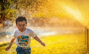 Jardim que é jardim tem divertimento sem fim