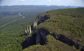 Presidentes do Brasil e Colômbia prometem reforço na proteção da Amazónia