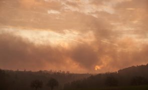 Apresentada nova plataforma para o combate aos incêndios