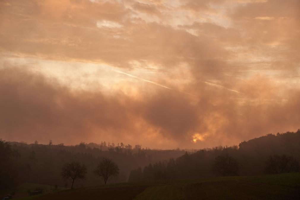 Apresentada nova plataforma para o combate aos incêndios