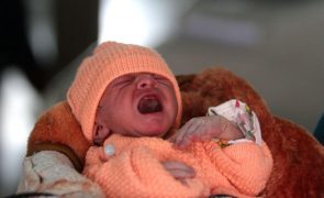Bebés até um ano passam a ter cartão de cidadão gratuito