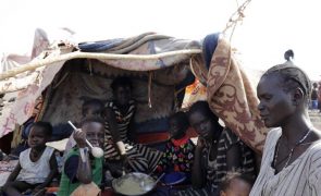 Número de deslocados sudaneses no Chade já ultrapassa os 100 mil e ONU pede ajuda
