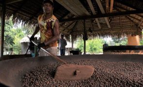 Economia do Brasil cresce 1,9% no primeiro trimestre com impulso da agropecuária
