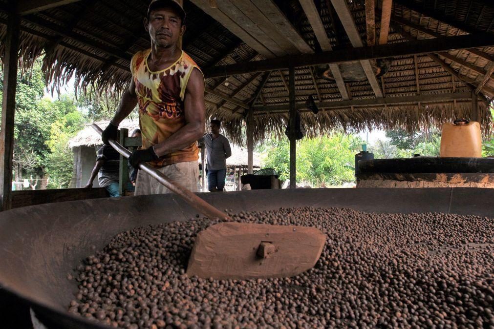 Economia do Brasil cresce 1,9% no primeiro trimestre com impulso da agropecuária