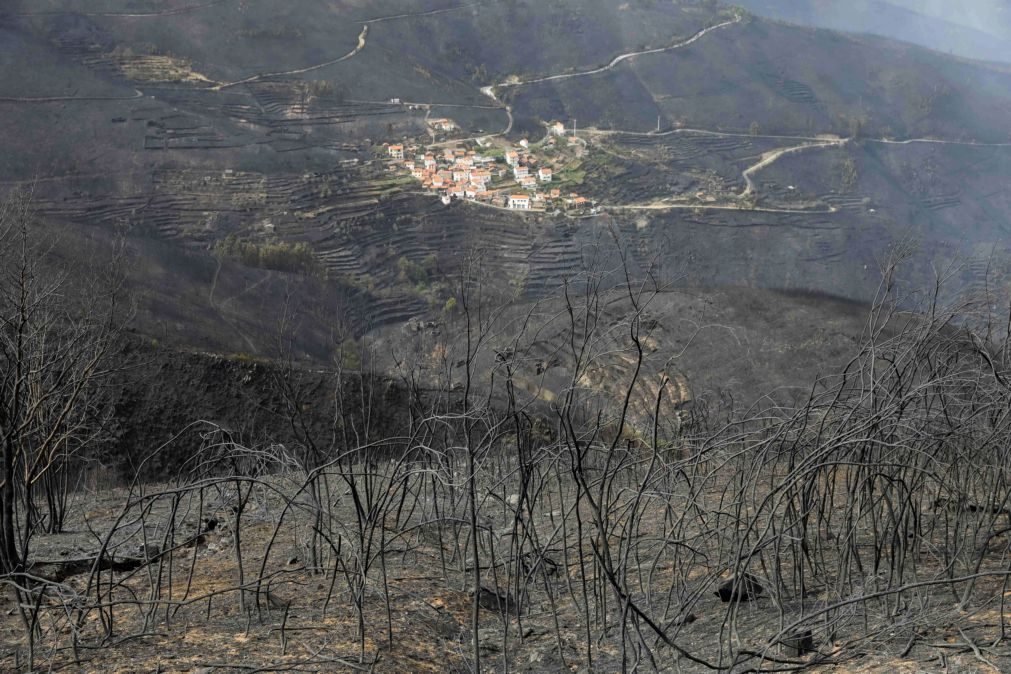Mais de 145 casas destruídas pelos incêndios em Arganil
