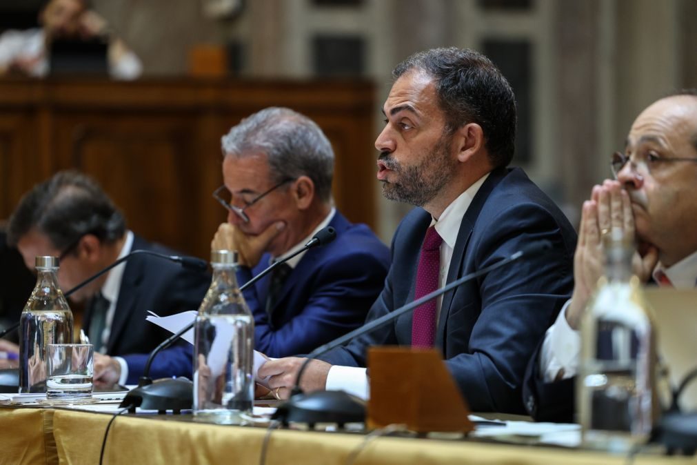 Ministro do Ambiente destaca no parlamento apoios para floresta superiores a 450 ME