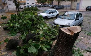 IPMA coloca 14 distritos sob aviso amarelo devido à chuva e vento forte