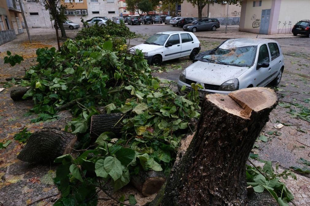 IPMA coloca 14 distritos sob aviso amarelo devido à chuva e vento forte