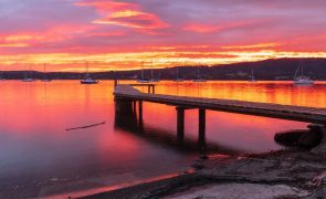 Tasmânia - A ilha australiana com praias de areia branca, montanha e uma capital vibrante