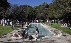 Portugal aumentou população residente em mais de 46.000 pessoas