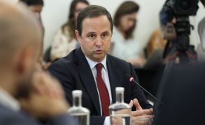 Medina diz ser possível começar a construir bases para recuperação dos salários na TAP