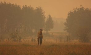 Área ardida no Canadá desde janeiro é 18 vezes a média da última década