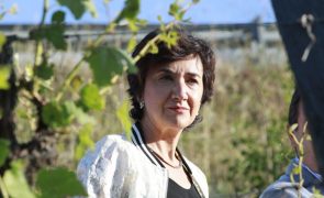 Acordo UE-Mercosul deve contemplar 
