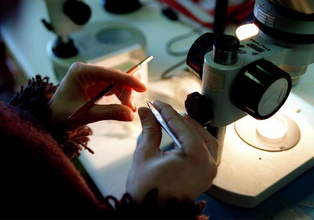 Projeto educativo português Native Scientists vence prémio Novo Bauhaus Europeu