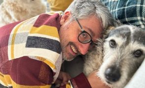 Nuno Markl Revoltado e indignado com tortura de animais: 
