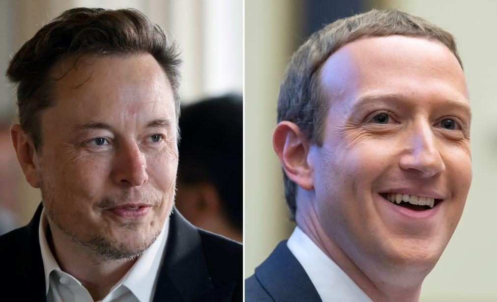 Elon Musk e Mark Zuckerberg combinam luta no ringue