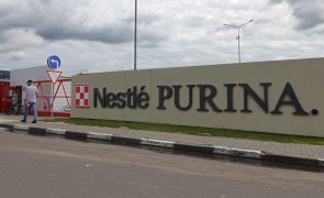 Nestlé Portugal quer contratar 100 trabalhadores e mantém foco na sustentabilidade